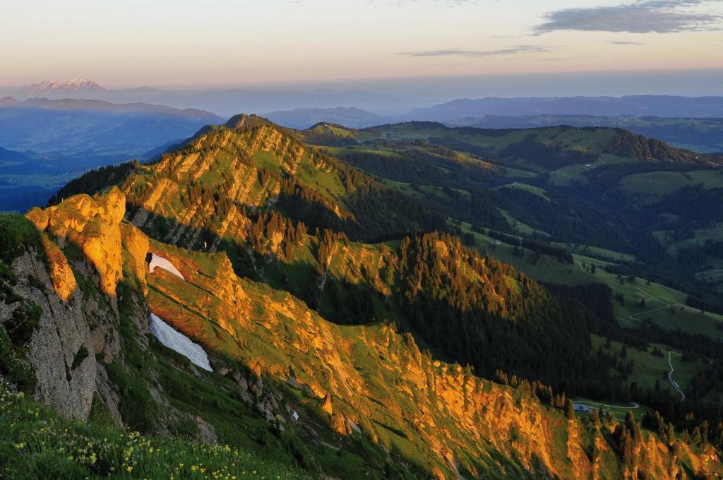 Alpin & Wellness Resort Hotel Ludwig Royal Oberstaufen Dış mekan fotoğraf